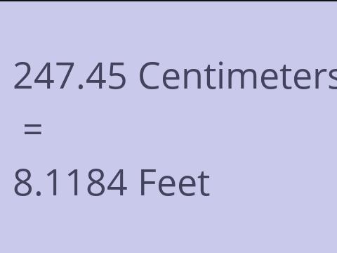 247.45 CM TO FEET