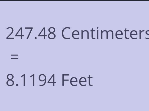 247.48 CM TO FEET