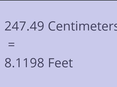 247.49 CM TO FEET