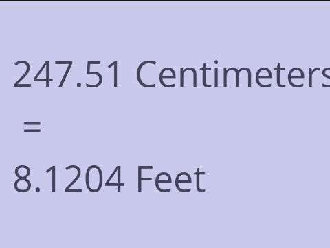 247.51 CM TO FEET