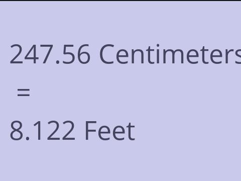 247.56 CM TO FEET