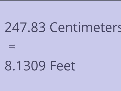 247.83 CM TO FEET