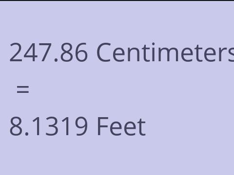 247.86 CM TO FEET