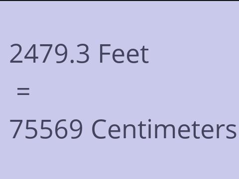 2479.3 FEET TO CM