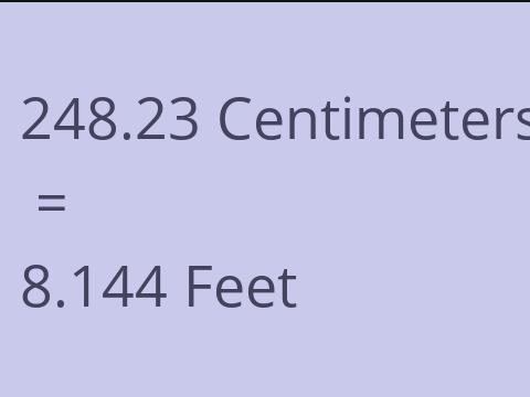 248.23 CM TO FEET