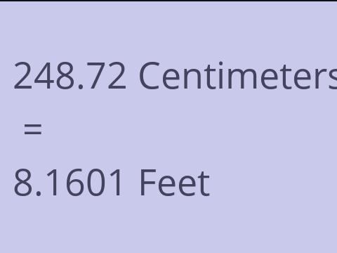 248.72 CM TO FEET