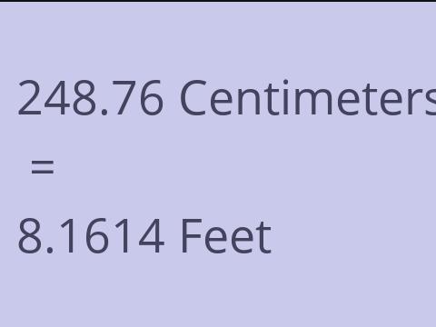 248.76 CM TO FEET