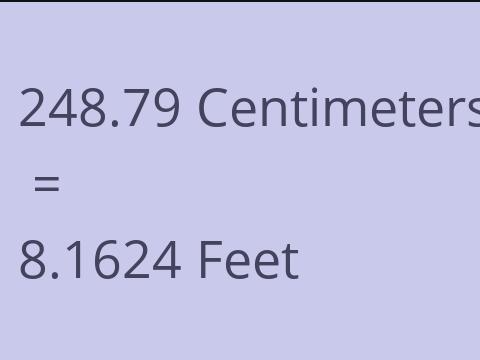 248.79 CM TO FEET