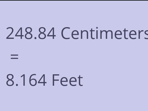 248.84 CM TO FEET