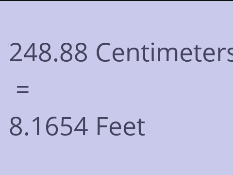 248.88 CM TO FEET