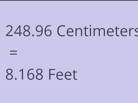 248.96 CM TO FEET