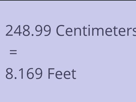 248.99 CM TO FEET