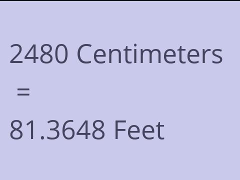 2480 CM TO FEET