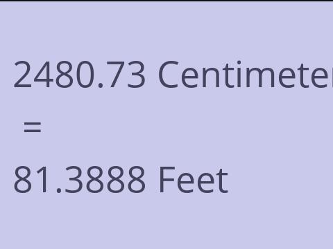 2480.73 CM TO FEET