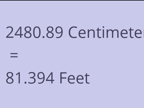 2480.89 CM TO FEET