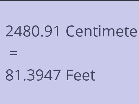 2480.91 CM TO FEET