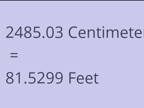 2485.03 CM TO FEET
