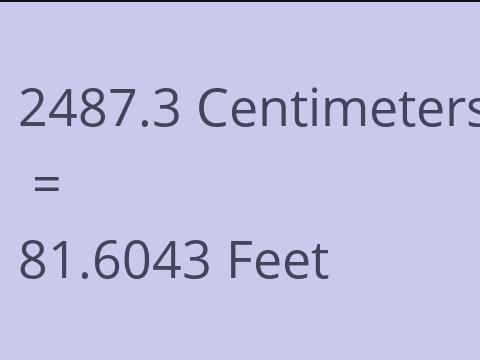 2487.3 CM TO FEET
