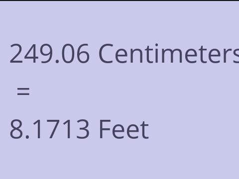 249.06 CM TO FEET