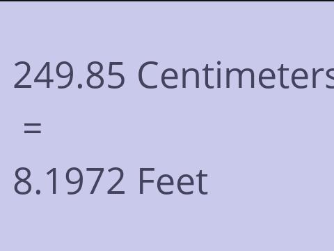 249.85 CM TO FEET