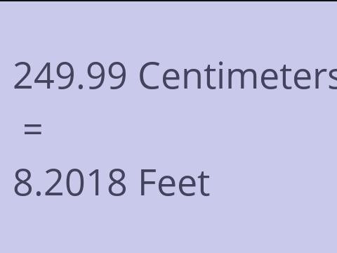 249.99 CM TO FEET