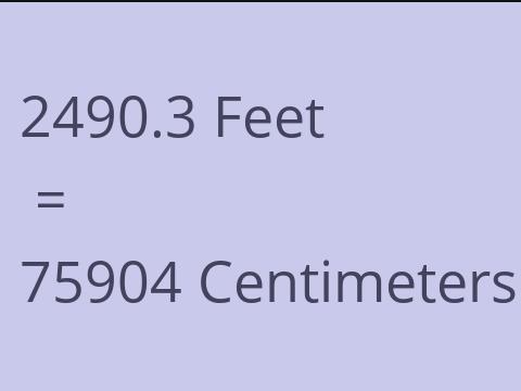 2490.3 FEET TO CM