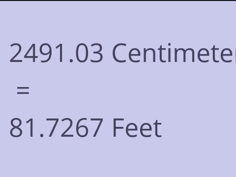 2491.03 CM TO FEET