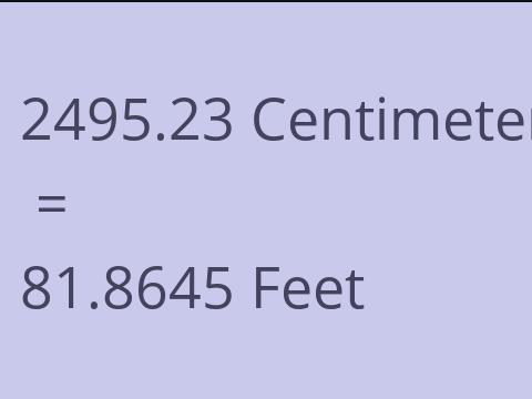 2495.23 CM TO FEET