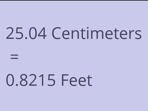 25.04 CM TO FEET