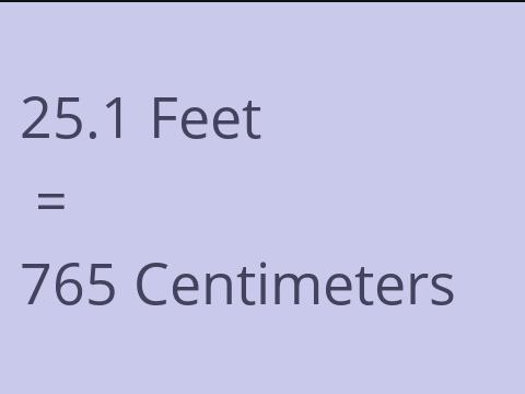 25.1 FEET TO CM