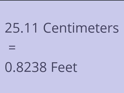 25.11 CM TO FEET