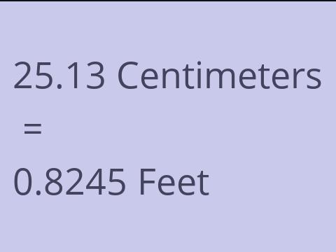 25.13 CM TO FEET