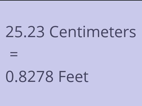 25.23 CM TO FEET