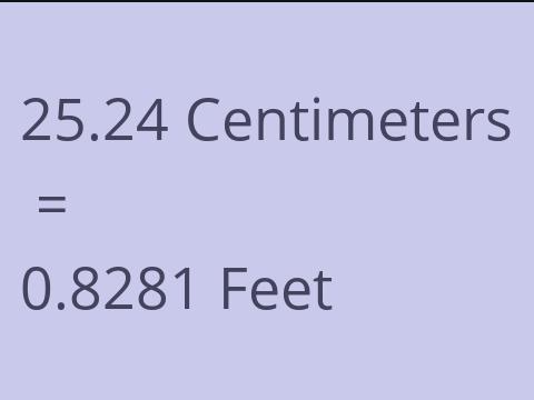 25.24 CM TO FEET