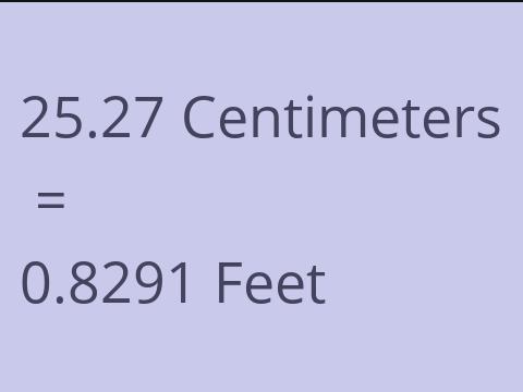 25.27 CM TO FEET