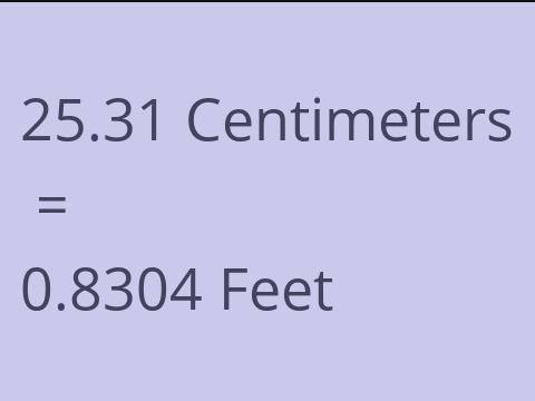 25.31 CM TO FEET