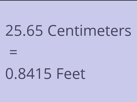 25.65 CM TO FEET