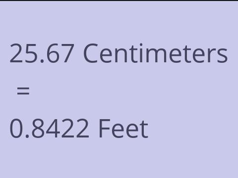 25.67 CM TO FEET