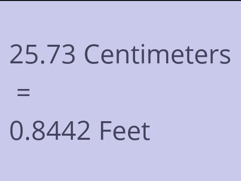 25.73 CM TO FEET