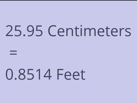 25.95 CM TO FEET