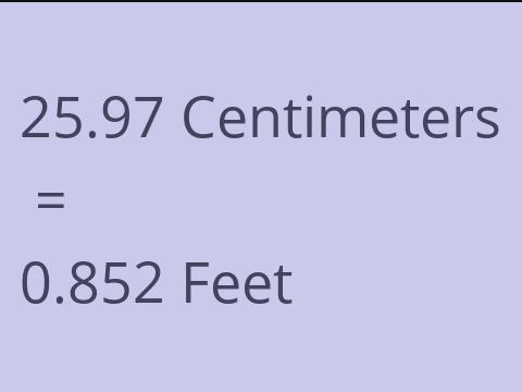 25.97 CM TO FEET