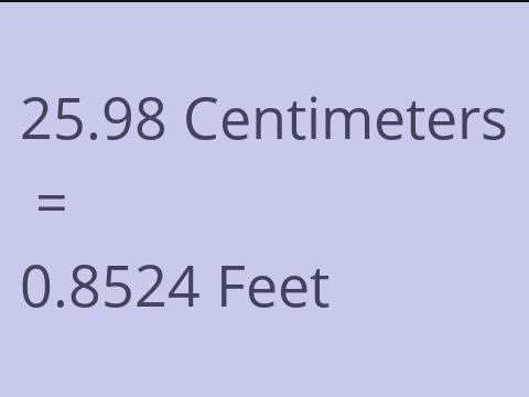 25.98 CM TO FEET