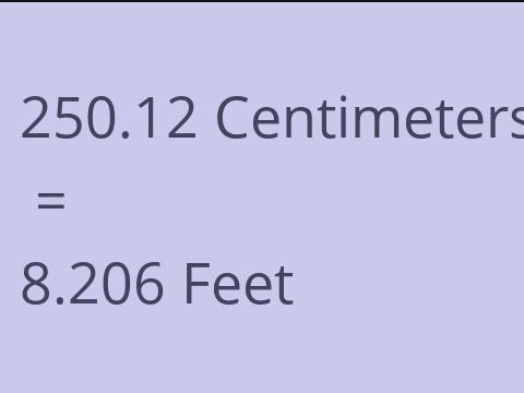 250.12 CM TO FEET