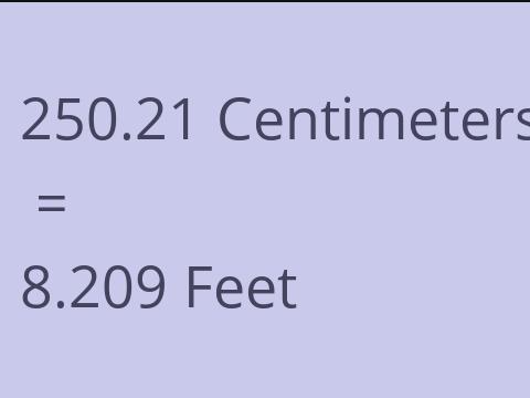 250.21 CM TO FEET