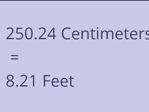 250.24 CM TO FEET