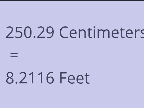 250.29 CM TO FEET