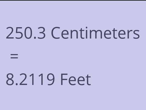 250.3 CM TO FEET