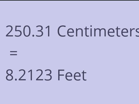 250.31 CM TO FEET