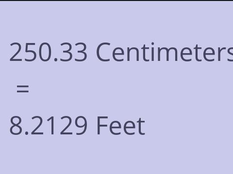 250.33 CM TO FEET