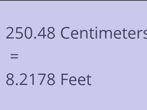 250.48 CM TO FEET